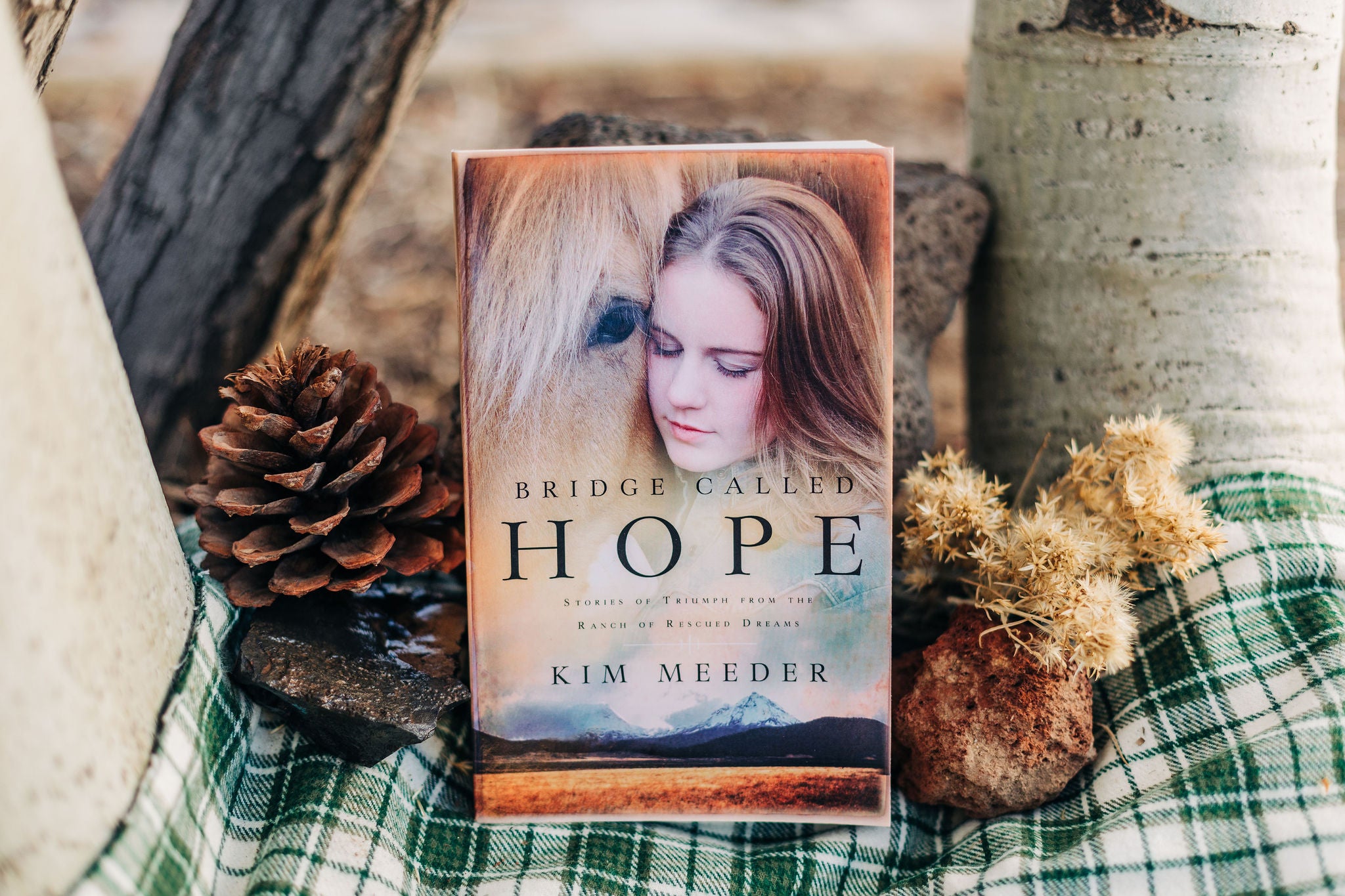 Lone Peak Youth Football Schedule Lone Peak Youth Football Schedule